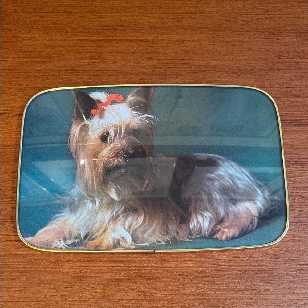 Vintage Retro Kitsch Yorkie Dog Picture in brass frame
